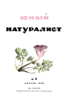 Юный Натуралист 4 1936