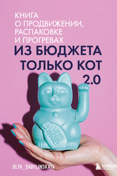 Из бюджета только кот 20