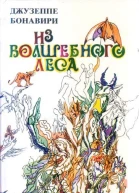 Из волшебного леса