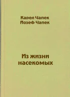 Из жизни насекомых