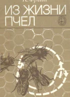 Из жизни пчёл