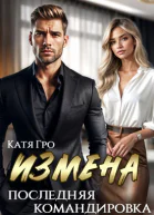 Измена Последняя командировка СИ