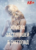 Измена застрявшей в снегопад