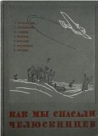 Как мы спасали челюскинцев