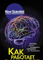 Как работает ваш мозг Внутри самого сложного объекта во Вселенной