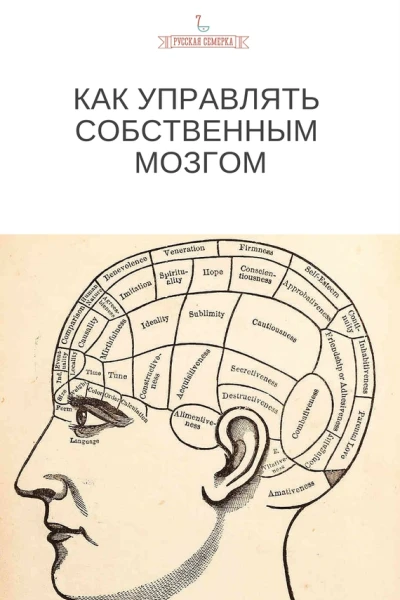 Как управлять собственным мозгом