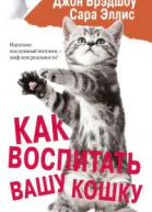Как воспитать вашу кошку