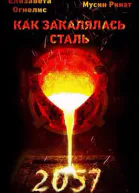 Как закалялась сталь  2057