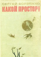 Какой простор Роман Книга вторая Бытие