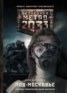 Калинкина Анна Владимировна Метро 2033 ПодМосковье  фантастические романы