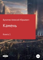 Камень книга 1