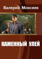 Каменный улей СИ