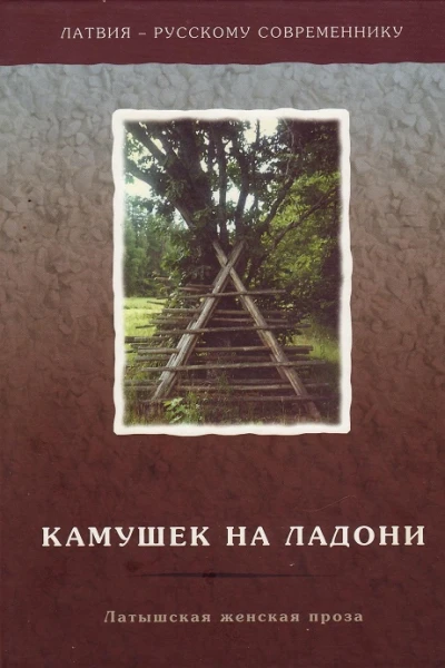 Камушек на ладони