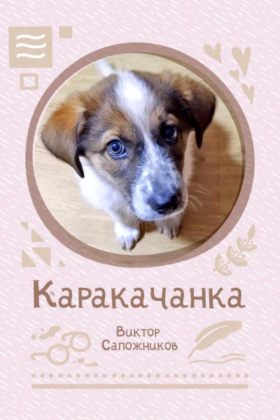 Каракачанка