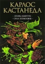 Карлос Кастанеда Огонь изнутри Сила безмолвия Искусство сновидения
