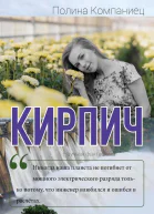 Кирпич
