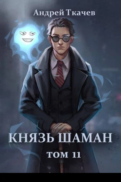 Князь шаман Том 11 СИ
