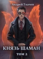 Князь шаман Том 2