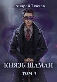 Князь шаман Том 3 СИ