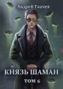 Князь шаман Том 6 СИ