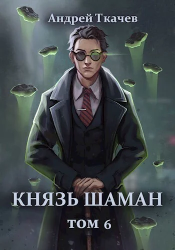 Князь шаман Том 6 СИ
