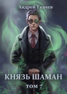 Князь шаман Том 7