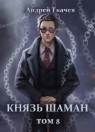 Князь шаман Том 8