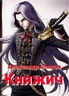 Княжич СИ