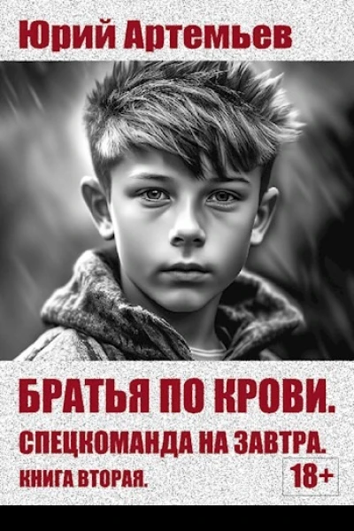 Книга вторая Спецкоманда на завтра