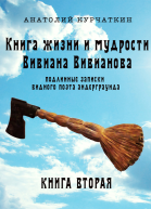 Книга жизни и мудрости Вивиана Вивианова Подлинные записки видного поэта андерграунда Книга вторая