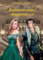 Кодовое имя Морозко Книга 2 СИ
