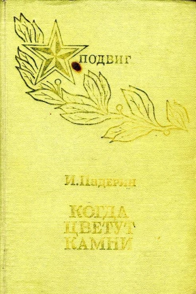 Когда цветут камни Роман