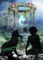 Команда Син или А вы как думали СИ