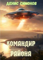 Командир района СИ