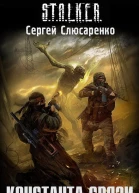 Константа связи  Сергей Слюсаренко