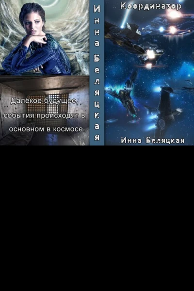 Координатор СИ