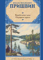 Корабельная чаща Осударева дорога