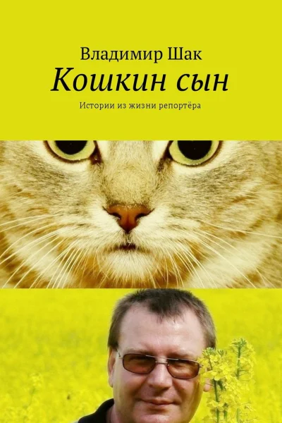 Кошкин сын СИ