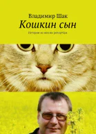 Кошкин сын