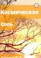 Космическая соль