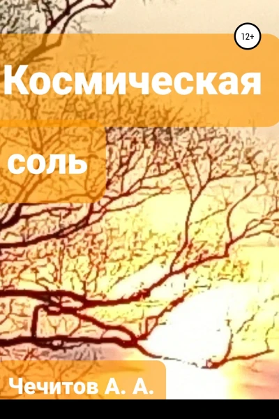 Космическая соль