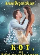 Кот или Новый год не без хлопот СИ