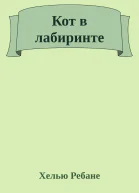 Кот в лабиринте