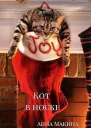 Кот в носке
