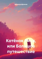 Котёнок Рина или Большое путешествие