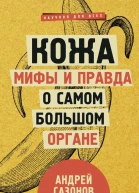 Кожа мифы и правда о самом большом органе