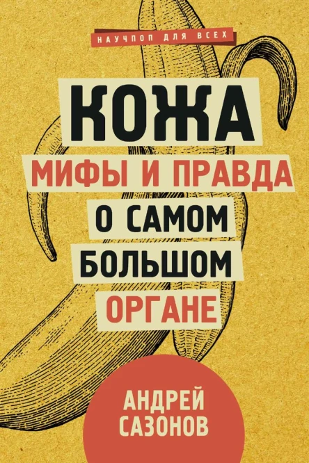 Кожа мифы и правда о самом большом органе