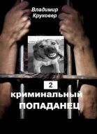 Криминальный попаданец 2