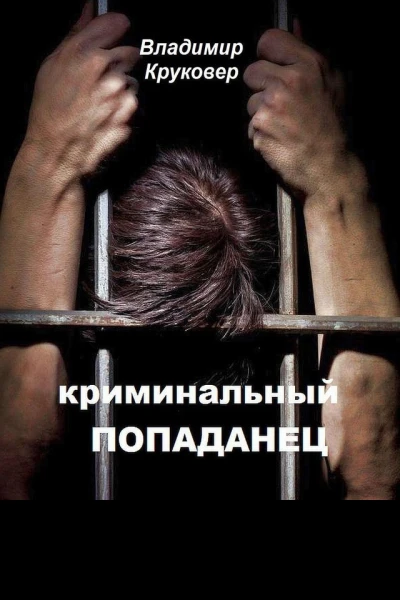 Криминальный попаданец
