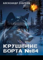 Крушение Борта  84